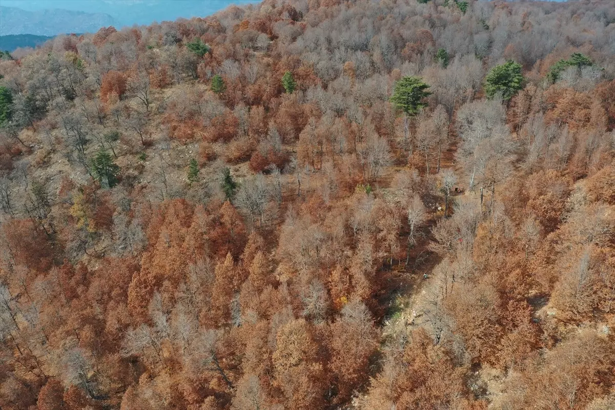 Andırın’ın Sonbahar Güzellikleri